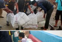 Hadir di Karyajaya, Camat Kertapati Rifandi Dorong Peran Pemuda dalam Masyarakat