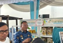PT PLN UIP SBS Gandeng UMKM Patih Galung Hadirkan Produk Inovasi Kulit Nanas di Prabumulih