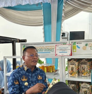 PT PLN UIP SBS Gandeng UMKM Patih Galung Hadirkan Produk Inovasi Kulit Nanas di Prabumulih